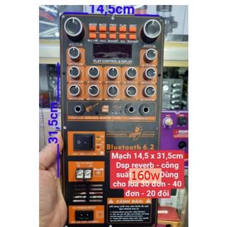 Bo mạch loa kéo đơn 30 đôi Reverb chống hú DSP thế hệ mới có rever 160w các hãng nanomax winmax 100w 160w