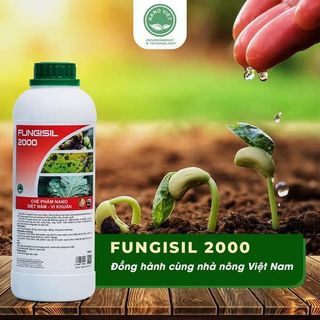 TÌM KIẾM ĐẠI LÝ PHÂN PHỐI CHẾ PHẨM NÔNG NGHIỆP - Fungisil