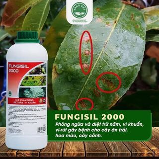 TÌM KIẾM ĐẠI LÝ PHÂN PHỐI CHẾ PHẨM NÔNG NGHIỆP - Fungisil
