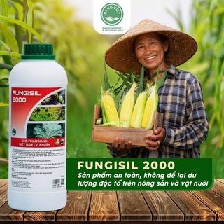 TÌM KIẾM ĐẠI LÝ PHÂN PHỐI CHẾ PHẨM NÔNG NGHIỆP - Fungisil
