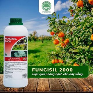 TÌM KIẾM ĐẠI LÝ PHÂN PHỐI CHẾ PHẨM NÔNG NGHIỆP - Fungisil