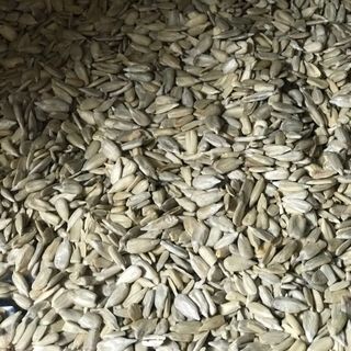 Nhân Hạt Hướng Dương - Nhân Hạt Hướng Dương