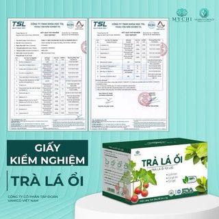 Trà lá ổi Mỹ chi