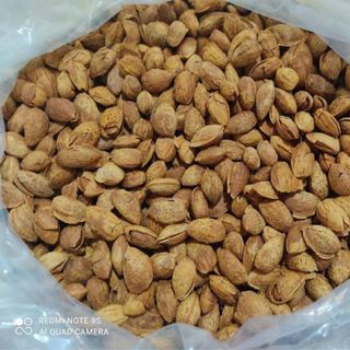 Hạnh Nhân Bơ - Hạnh Nhân Bơ