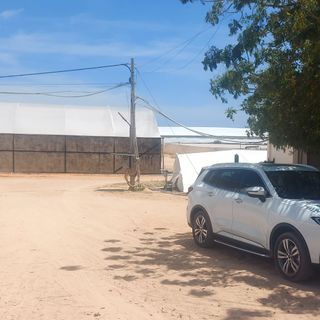 Nước dưa lưới DANNY GREEN tìm đối tác chiến lược