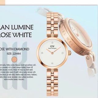 ĐỒNG HỒ NỮ CAO CẤP DANIEL W ELAN LUMINE DÂY THÉP MẶT MINI