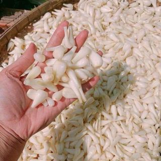 CỦ KIỆU NGÂM ĐƯỜNG CHUA NGỌT CỰC BẮT 800G - WINNIE HOUSE
