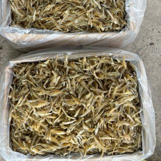 Khô cá cơm xuất khẩu -Biển Kiên Giang