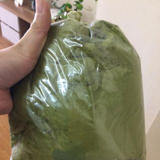 Bán Bột Trà Xanh Nguyên Chất 65k