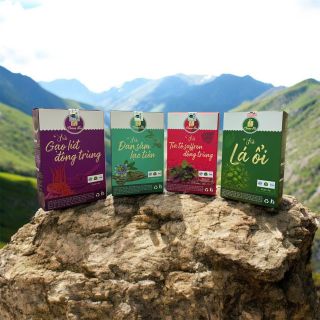 TUYỂN NHÀ PHÂN PHỐI, ĐẠI LÝ TRÀ THẢO DƯỢC "CHANG TEA" TOÀN QUỐC
