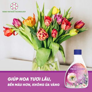 Nước cắm hoa Flowers Fresh Nano Đồng - Dưỡng hoa tươi lâu, giữ màu hoa lâu phai, giảm mùi hôi nước, khử nấm khuẩn nước