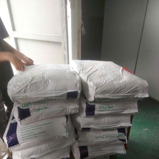 Yến Mạch Cán Vỡ - Yến Mạch Cán Vỡ