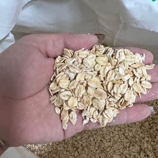 Yến mạch Cán Dẹt - Yến Mạch Cán Dẹt