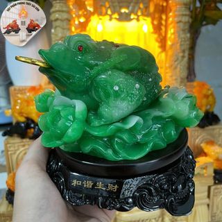 cóc  ngậm đồng tiền ba chân size trung cao 15*18 - thiềm thừ phong thủy tài lộc Phòng Khách Trang Trí Nhà Decor Phòng cóc  ngậm đồng tiền