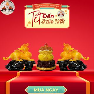 cặp tỳ hưu 15cm kèm tựu bảo để bàn thờ hoặc trang trí nhà cửa Phòng Khách Decor Phòng Decor tỳ  hưu tỳ  hưu