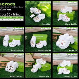 SỤC 10
NỮ giá sỉ
