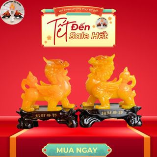 cặp tỳ hưu cao 15*13cm để bàn thờ tài địa phong thủy tài lộc Decor Phòng Trang Trí Nhà Phòng Khách tỳ  hưu tỳ  hưu