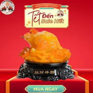 cóc ngậm đồng tiền cao 13cm - thiềm thừ phong thủy tài lộc Phòng Khách Trang Trí Nhà Decor Phòng