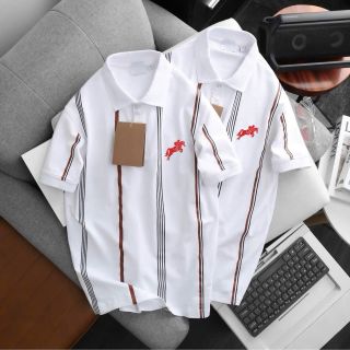 Áo thun cổ bẻ soc mới 2025 ve