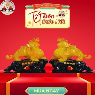 Cặp Tỳ Hưu 18*22 Phong Thủy Để Bàn Thờ Trang Trí Nhà Cửa Decor Decor Phòng Phòng Khách guong  bat quai tỳ  hưu tỳ  hưu tỳ  hưu