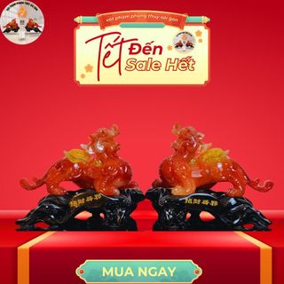 Cặp Tỳ Hưu Cao 22*25 Phong Thủy Để Bàn Thờ Trang Trí Nhà Cửa Decor Decor Phòng Phòng Khách guong  bat quai tỳ  hưu tỳ  hưu tỳ  hưu
