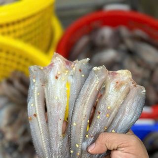 Khô Cá Lóc Đồng Non Xẻ 2 Nắng - Đặc Sản Châu Đốc - An Giang