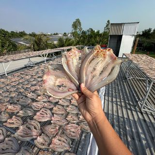 Khô Cá Lóc Đồng Non Xẻ 2 Nắng - Đặc Sản Châu Đốc - An Giang