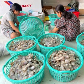 Khô Cá Sặc Đồng 2 Nắng - Đặc Sản Châu Đốc An Giang Vừa Ăn Không Mặn
