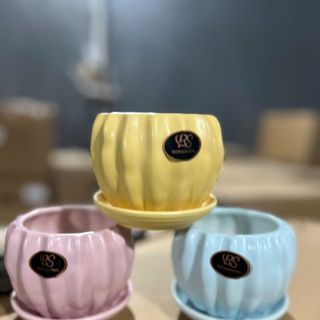 Chậu Chậu trồng cây cảnh, cây để bàn văn phòng.