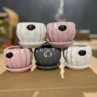 Chậu Chậu trồng cây cảnh, cây để bàn văn phòng.