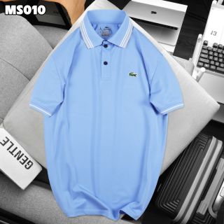 Cá sấu nam Size mlxl2xl3xl Ri 22222