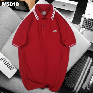 Cá sấu nam Size mlxl2xl3xl Ri 22222