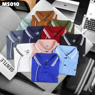 Cá sấu nam Size mlxl2xl3xl Ri 22222