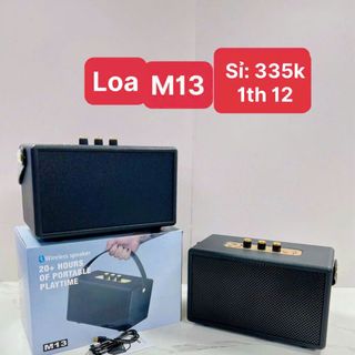 Loa M13