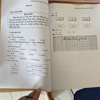 ĐỀ KIỂM TRA TIẾNG VIỆT ĐỌC HIỂU LỚP 1 (KÌ 1) PVN48 - LADY'S PASSION