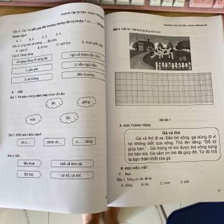 ĐỀ KIỂM TRA TIẾNG VIỆT ĐỌC HIỂU LỚP 1 (KÌ 1) PVN48 - LADY'S PASSION