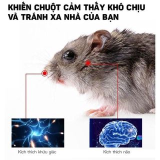 Sáp đuổi chuột xe ô tô hàng Nhật hiệu quả, gắn khoang máy ô tô dạng bột chống chuột cắn phá dây điện