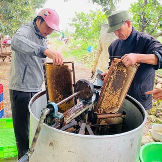 Mật ong