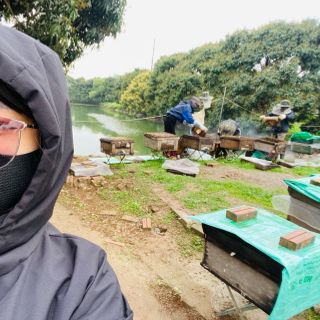 Mật ong