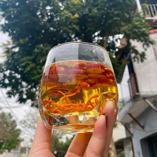 TRÀ THẢO MỘC QUAN CHU ĐÔNG TRÙNG TỨ VỊ - Bán Sỉ & Buôn