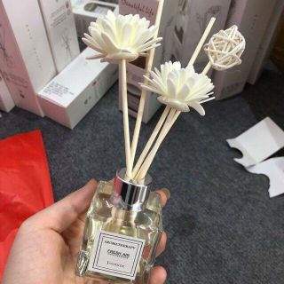 Tinh Dầu Nước Hoa Thơm Để Phòng Beautiful Life, Lọ Khuếch Tán Tinh Dầu Nước Hoa Thơm Phòng Ngủ Thiên Nhiên Để Phòng Thơm Nhà Khử Mùi - Tinh dầu thơm Beautiful Life giá sỉ
