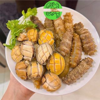 HẢI SÂM GAI VÀNG