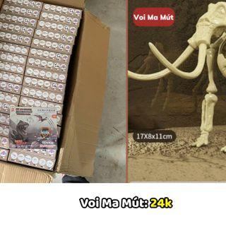 Đồ Chơi Đào Hoá Thạch Khủng Long, Bộ Khảo Cổ Đào Xương Khủng Long Cho Bé