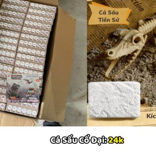 Đồ Chơi Đào Hoá Thạch Khủng Long, Bộ Khảo Cổ Đào Xương Khủng Long Cho Bé