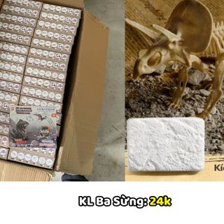 Đồ Chơi Đào Hoá Thạch Khủng Long, Bộ Khảo Cổ Đào Xương Khủng Long Cho Bé