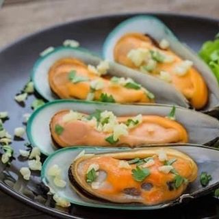 VẸM XANH NEW ZEAND KONO/ SANFORD