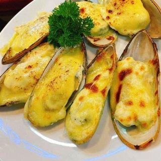 VẸM XANH NEW ZEAND KONO/ SANFORD