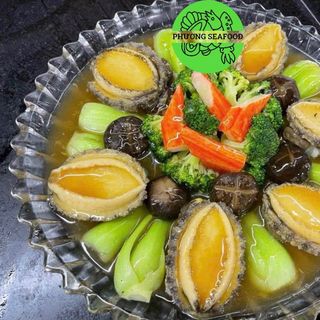 BÀO NGƯ ĐỦ SIZE 10-12-14-16-18-20-22-24