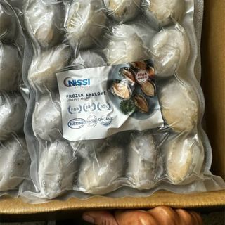 BÀO NGƯ NISSI SIZE MẪU 6 TEM SIZE 10-12Con / 15-17Con / 20-Con