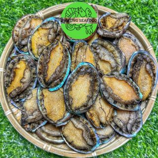 BÀO NGƯ NISSI SIZE MẪU 6 TEM SIZE 10-12Con / 15-17Con / 20-Con